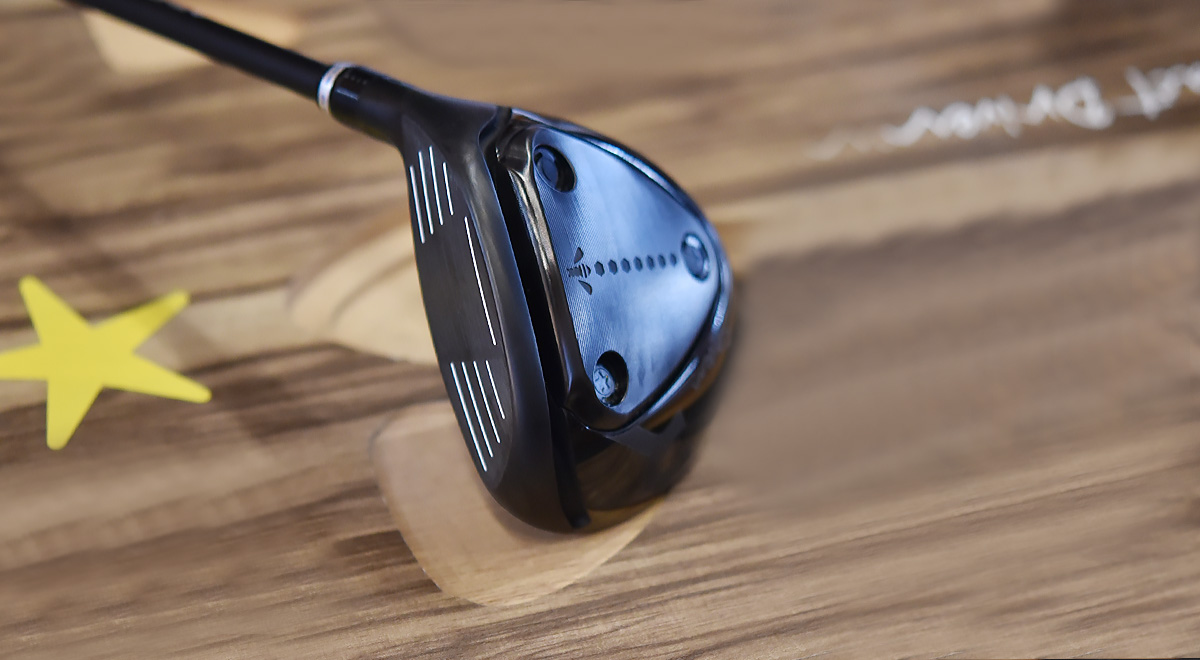 ロッディオ7Wのブラックアウト仕様｜大信プロダクト | Daishin Product